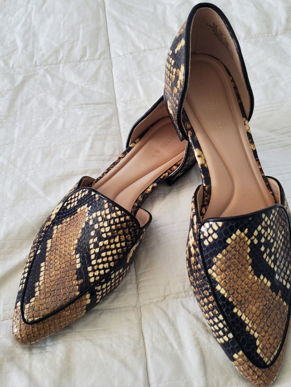 Preston & York Women's Snake-Print Pointed D'Orsay Flats in Black & Brown